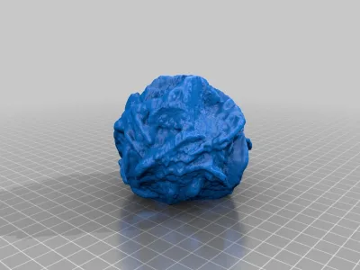 Gypsum Rosette