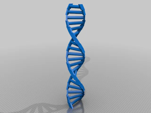 Customizable DNA – Modello 3D gratuito STL