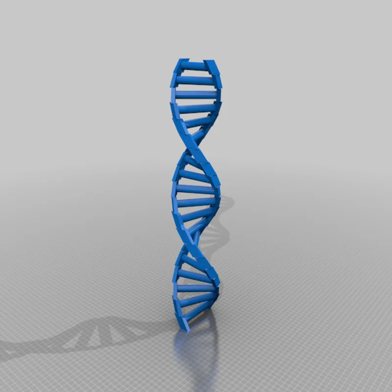 Customizable DNA – Modello 3D stampabile da Thingiverse